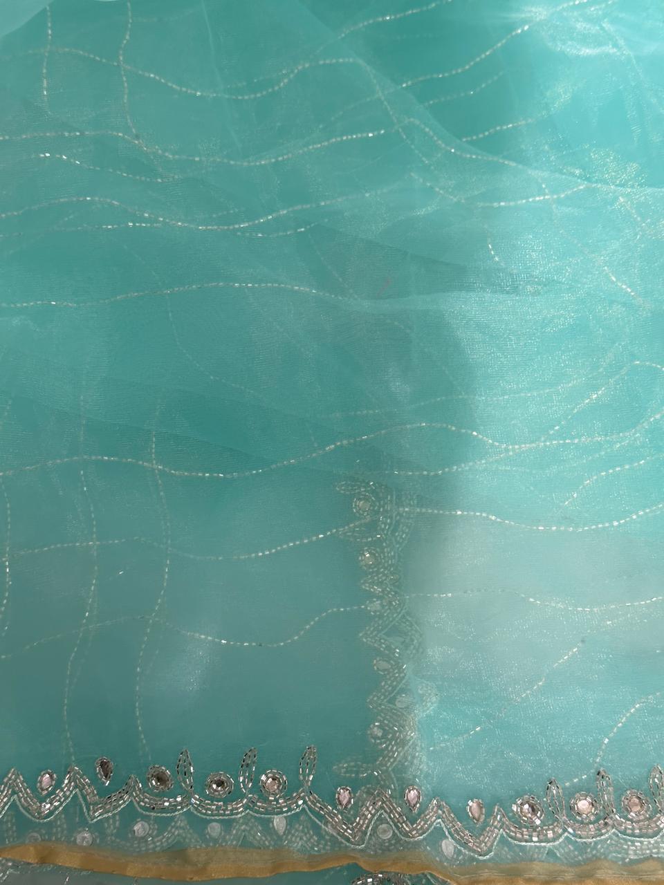 Hand Work Fountain Tissue Saree - BFSLA92