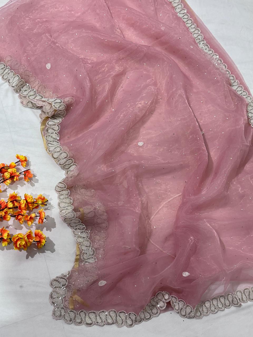 Hand Work Fountain Tissue Saree - BFSLA91