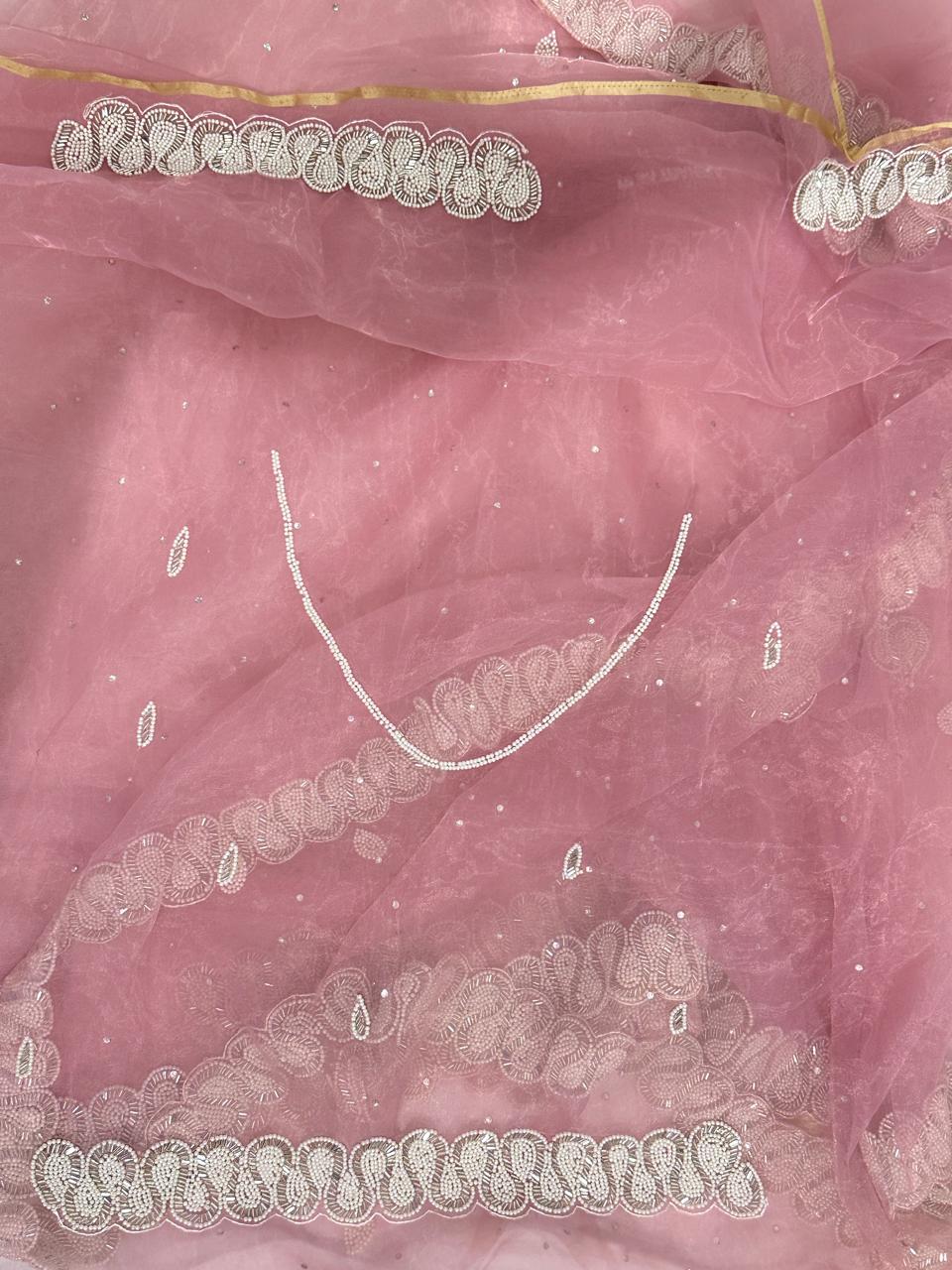 Hand Work Fountain Tissue Saree - BFSLA91