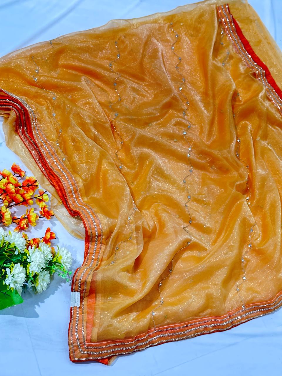 Kurdana Hand Work Organza Saree - BFSLA101