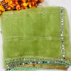 Fountain Tissue Saree With Mirror Hand Work