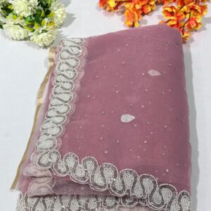Hand Work Fountain Tissue Saree