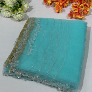 Hand Work Fountain Tissue Saree